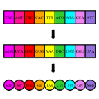 HyperlinkImage