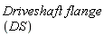 Driveshaft*flange*DS