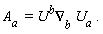 A[a ] = U^(b)(&nabla;)[b] U[a] .