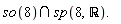 so(8) intersect sp(8, `&Ropf;`).  
