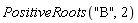 PositiveRoots("B", 2)