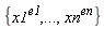{x1^e1, xn^en, () .. ()}
