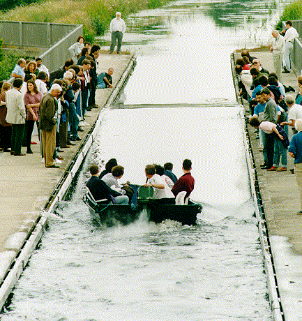 [Maple OLE 2.0 Object]