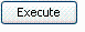 Execute